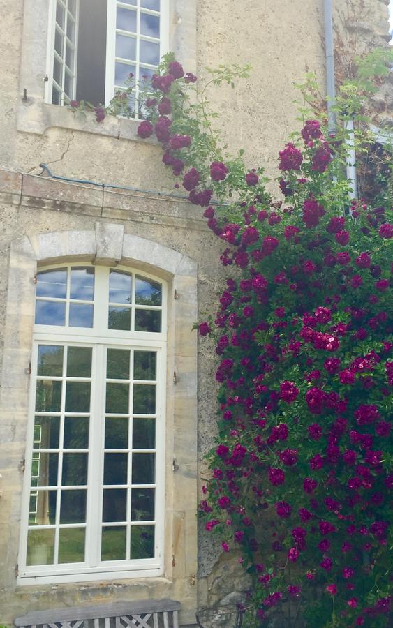 瑟莱河畔孔代L'Orangerie Du Grand Jardin别墅 外观 照片